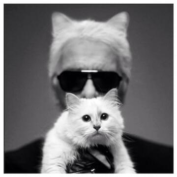 Photo of Karl Lagerfeld