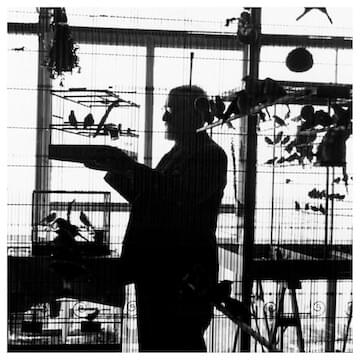 Photo of Henri Matisse