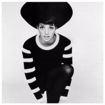 Photo of Liza Minnelli