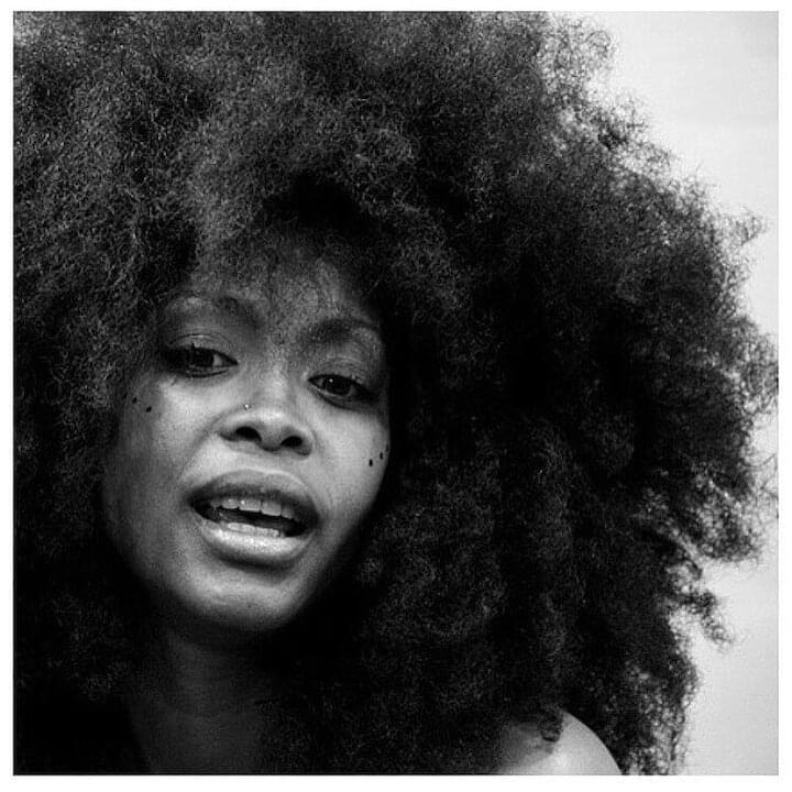 Photo of Erykah Badu