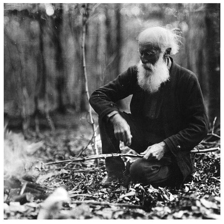 Photo of John Burroughs