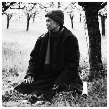 Photo of Thich Nhat Hanh