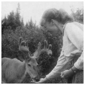 Photo of Sylvia Plath